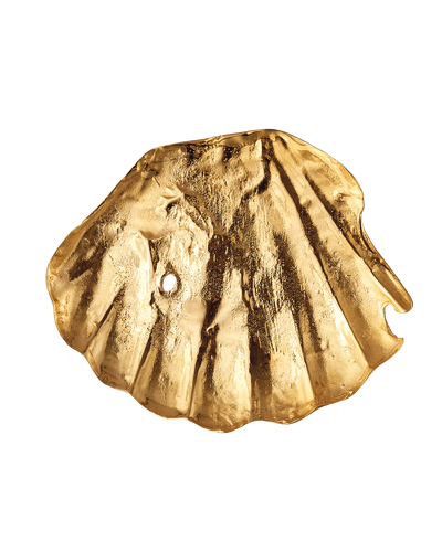 The Shell of Clarity Dish