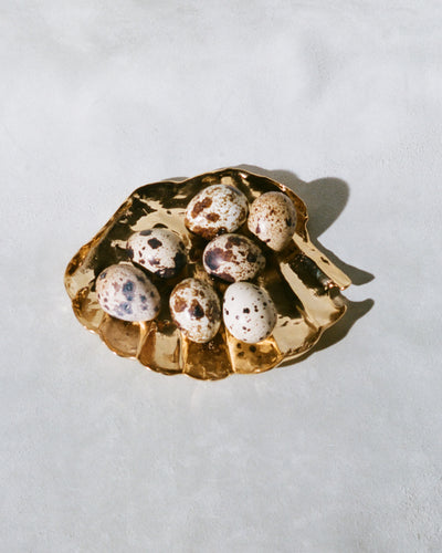 The Shell of Clarity Dish