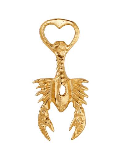 A Life Aquatic Bottle Opener