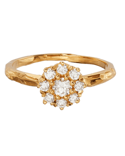 The Celestial History Diamond Ring