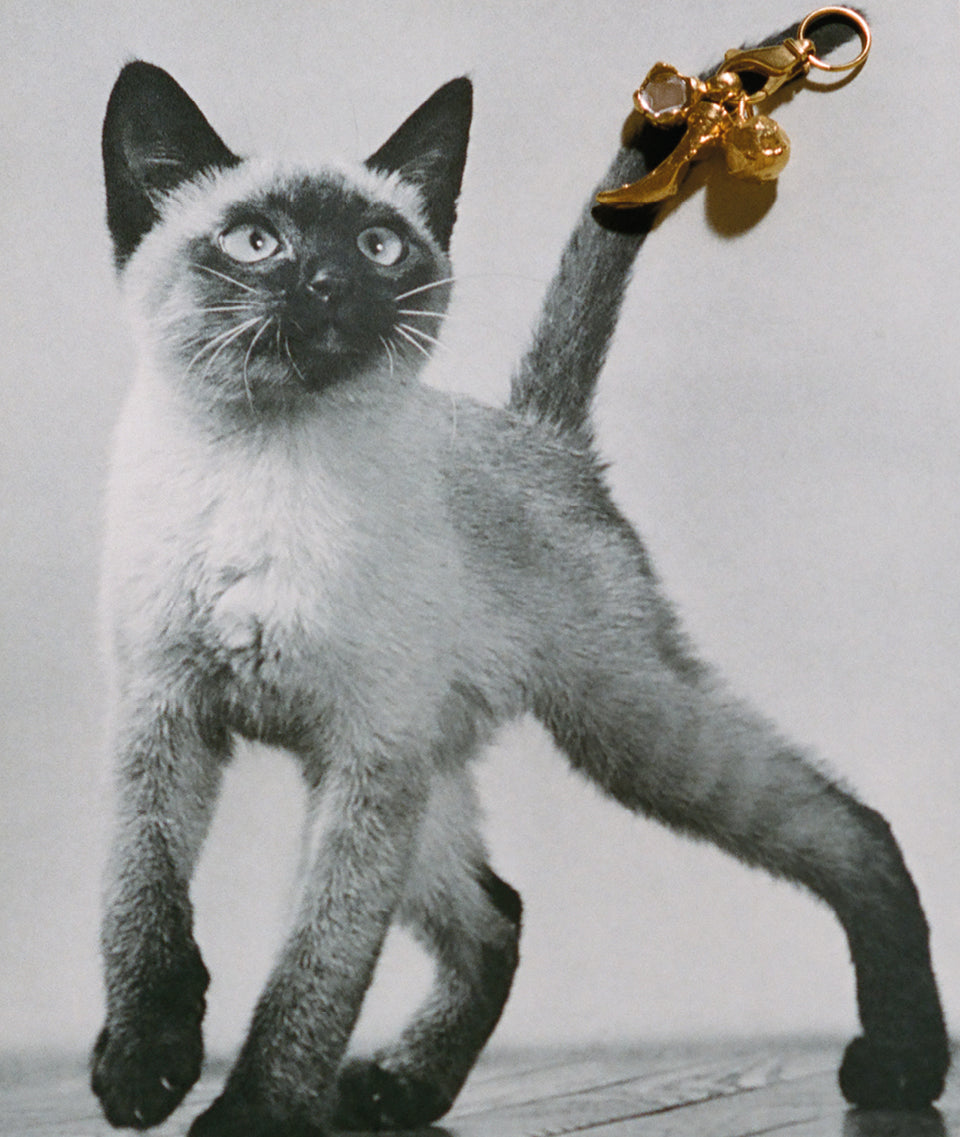 Alighieri Gold Charm Feline of Trio