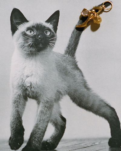 Alighieri Gold Charm Feline of Trio