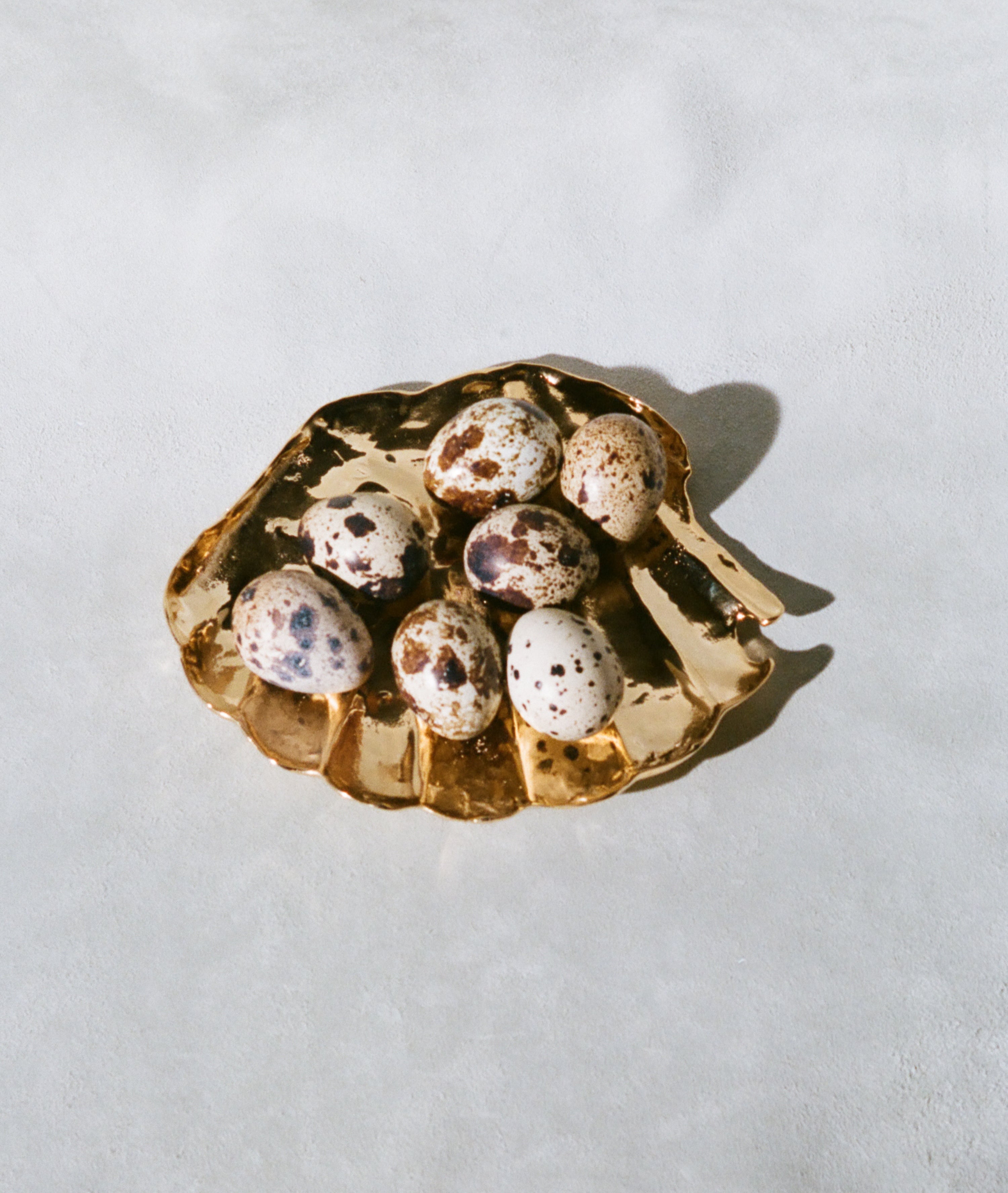 The Shell of Clarity Dish