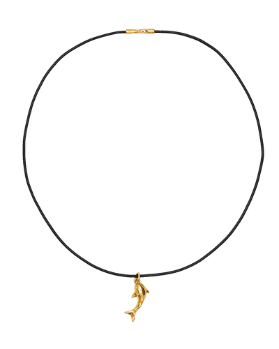 The Constellation of the Fishes Necklace