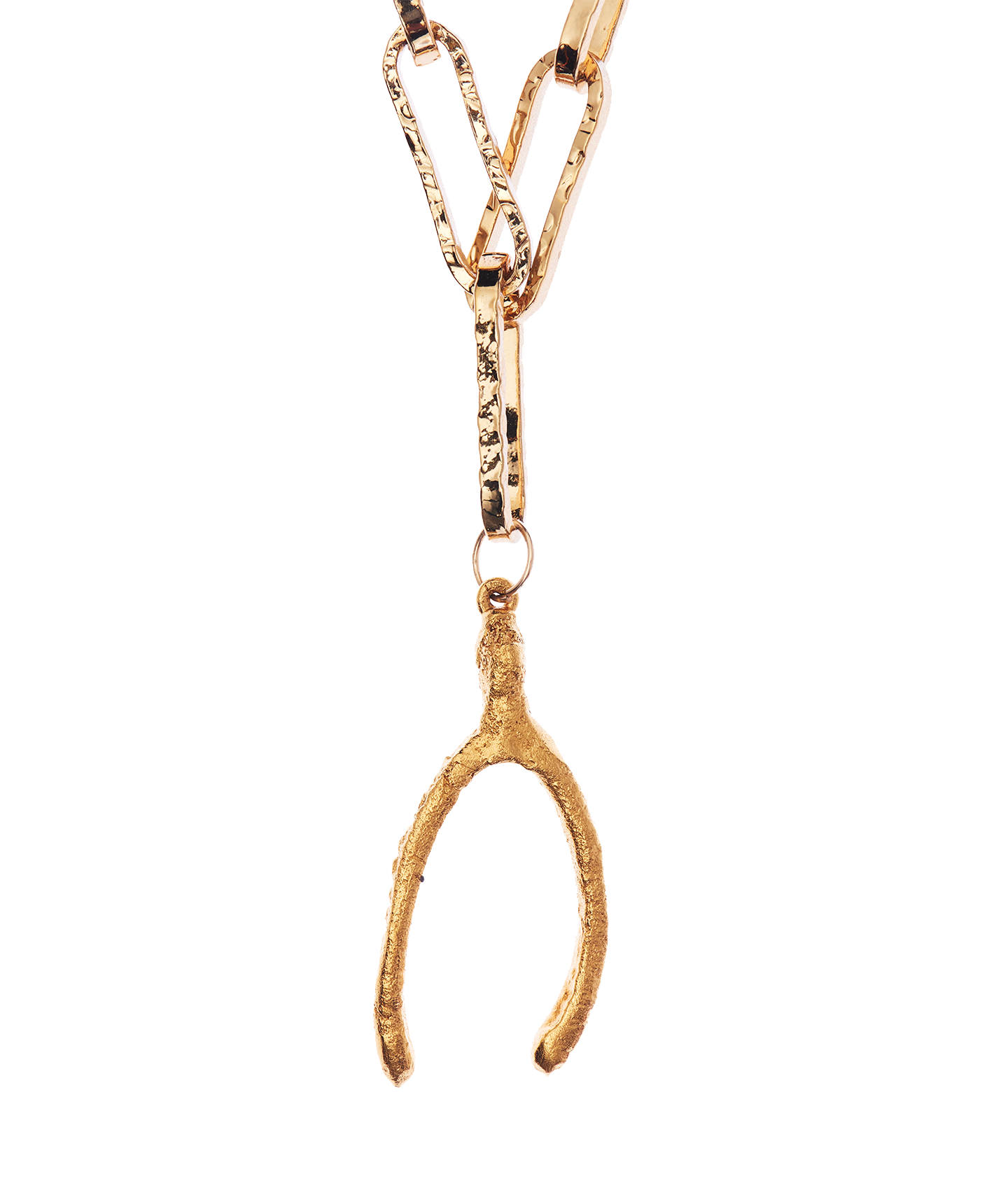 Detail of Alighieri Past Follies Wishbone Pendant Necklace