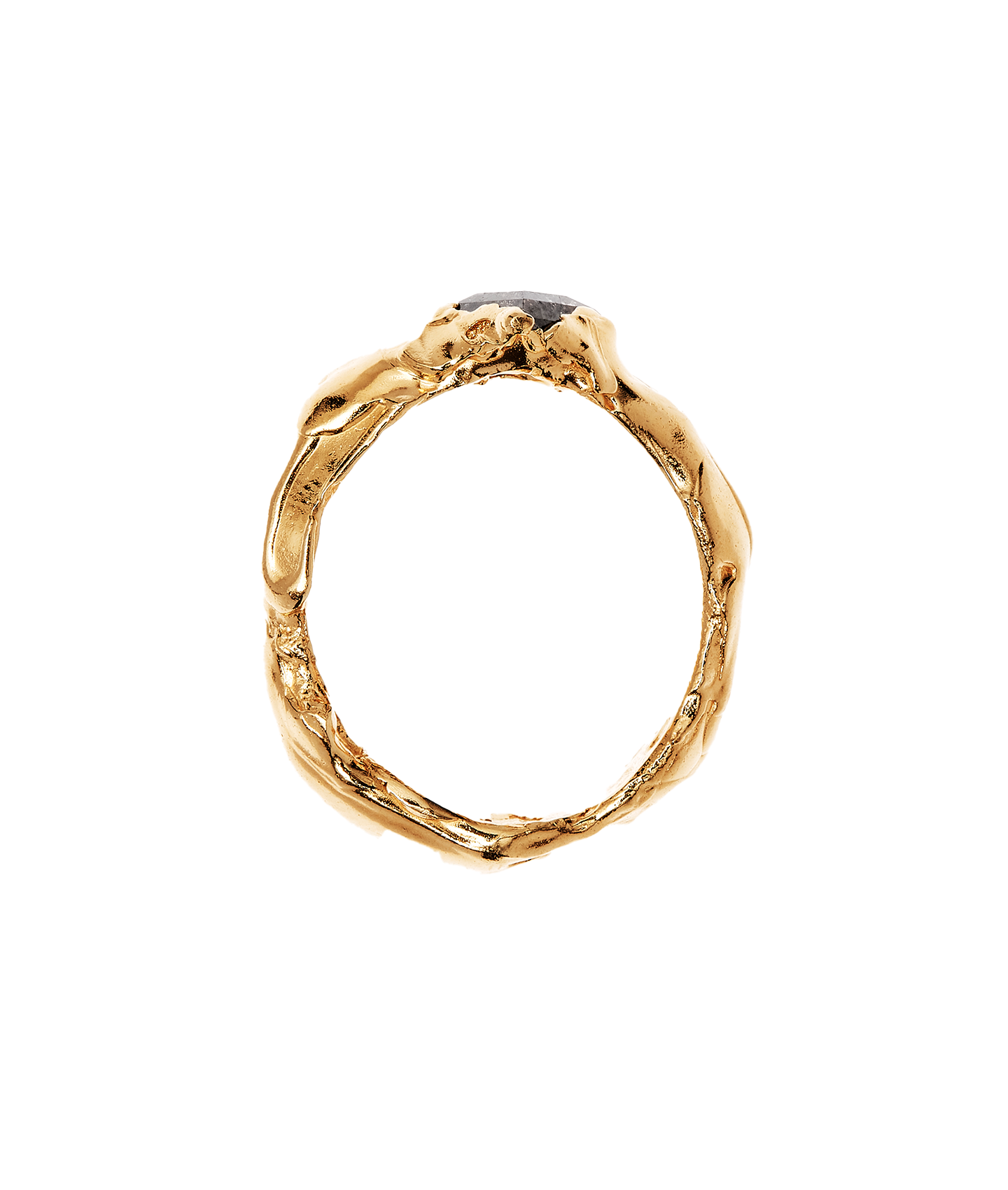 The Captured Meteor Ring