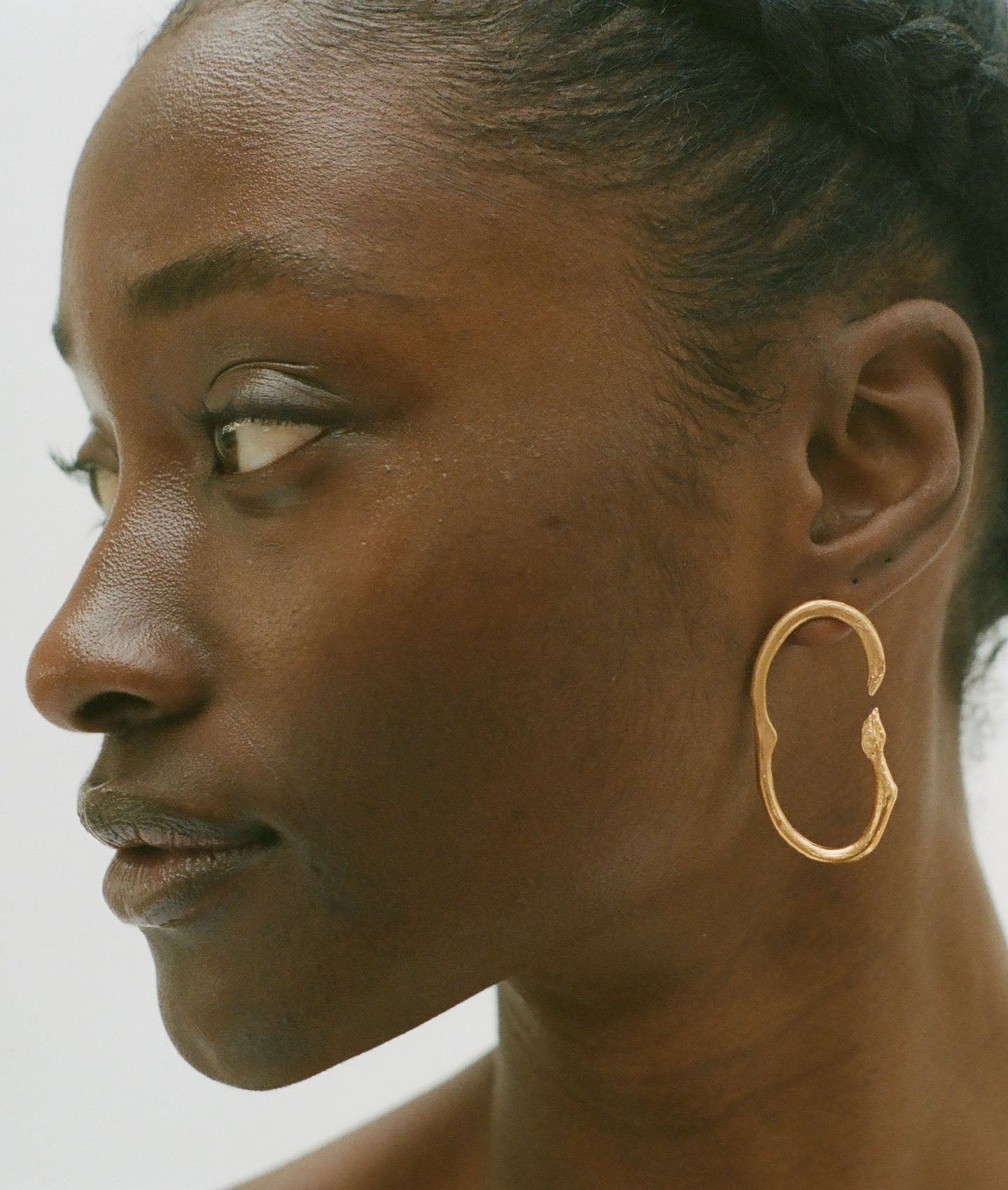 The Surreal Lion Earrings