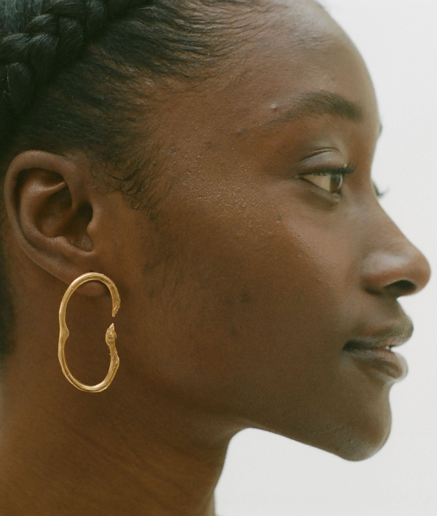The Surreal Lion Earrings