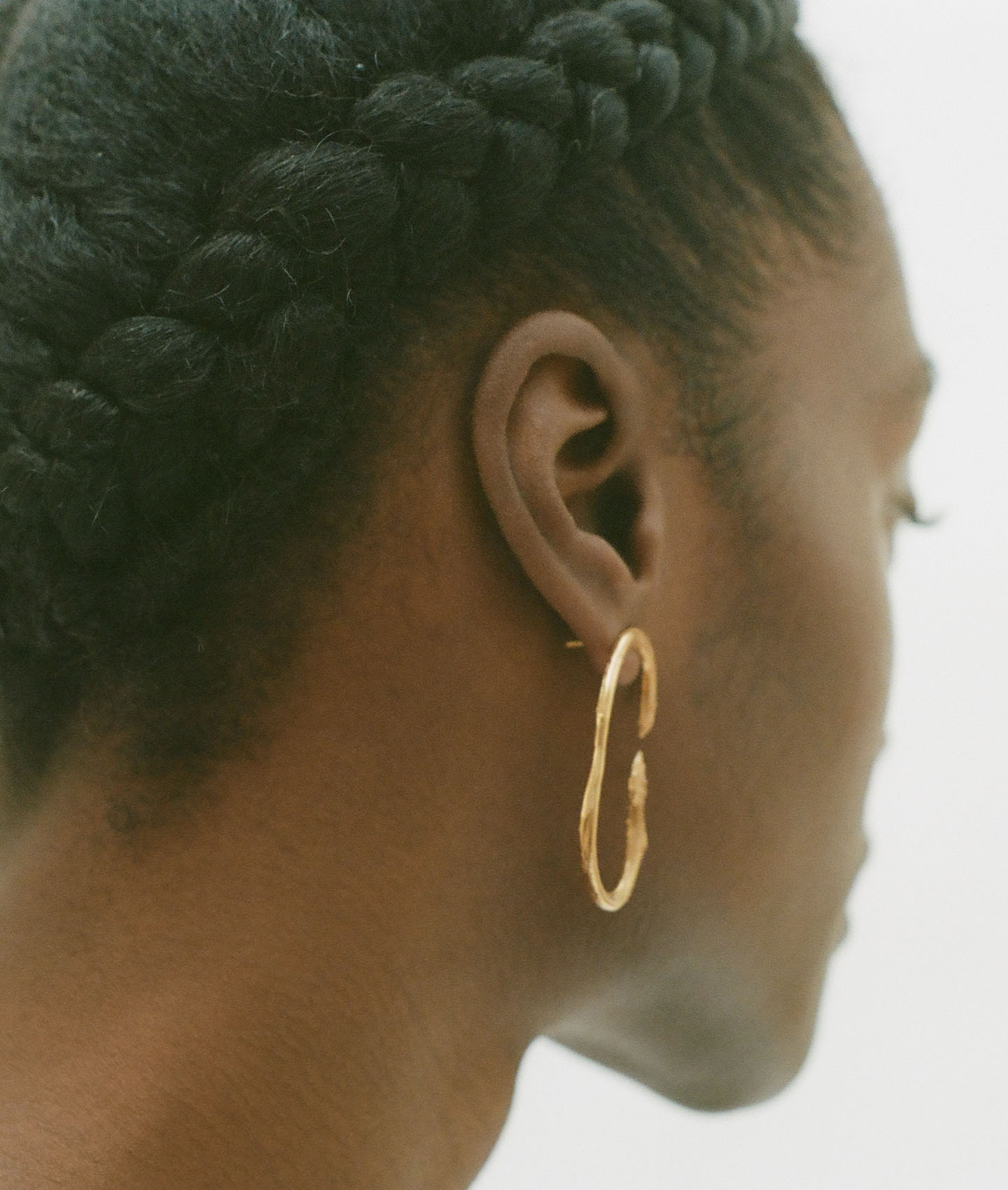 The Surreal Lion Earrings