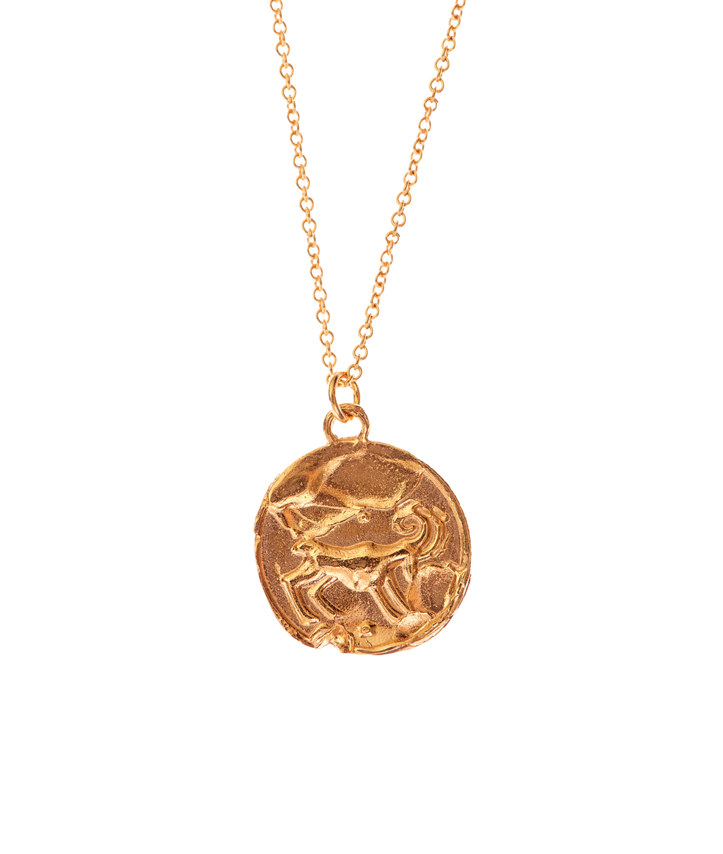 Model wearing Alighieri Gold Aries Zodiac Necklace Medallion