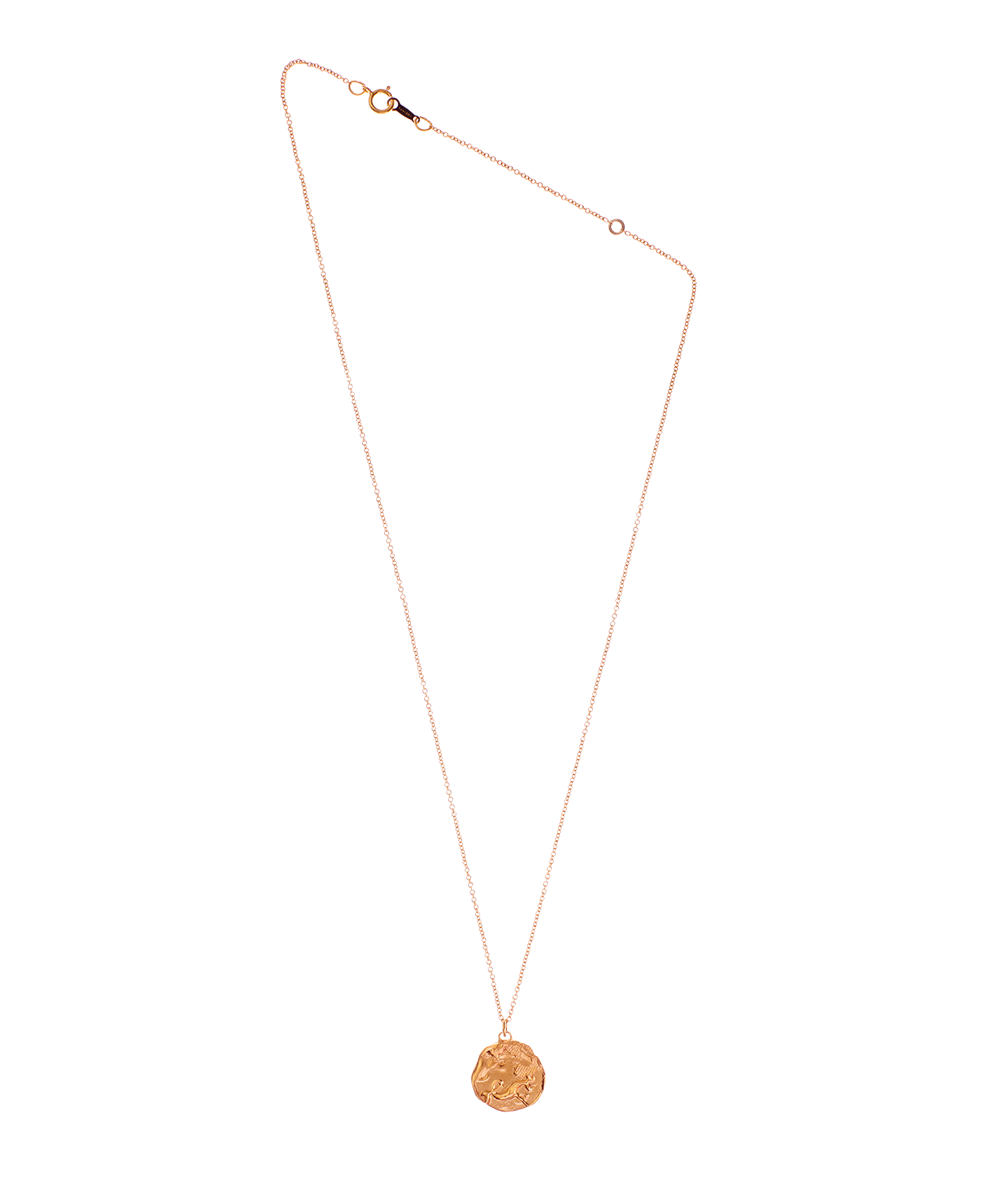 Alighieri Gold Capricorn Zodiac Necklace Medallion