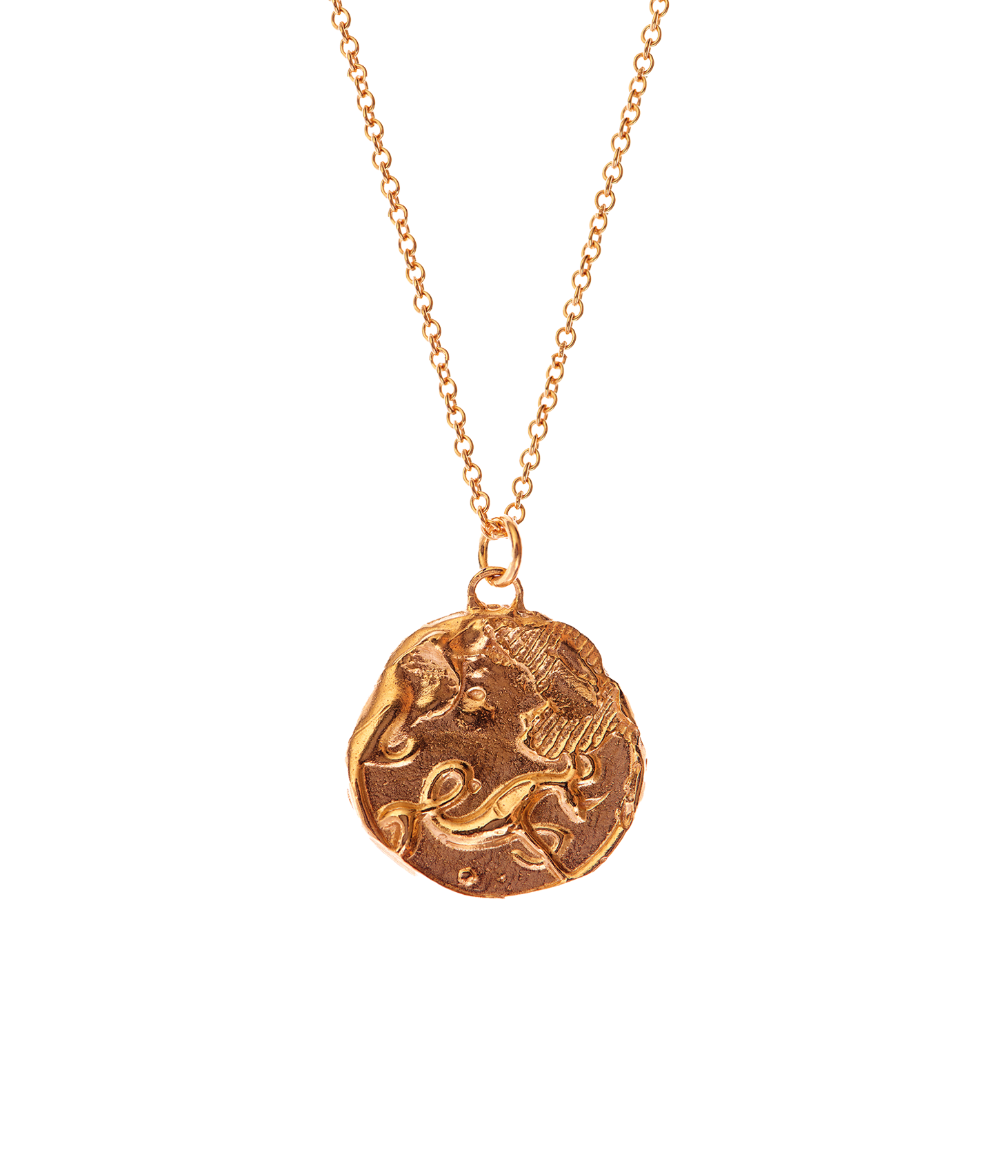 Alighieri Gold Capricorn Zodiac Necklace Medallion