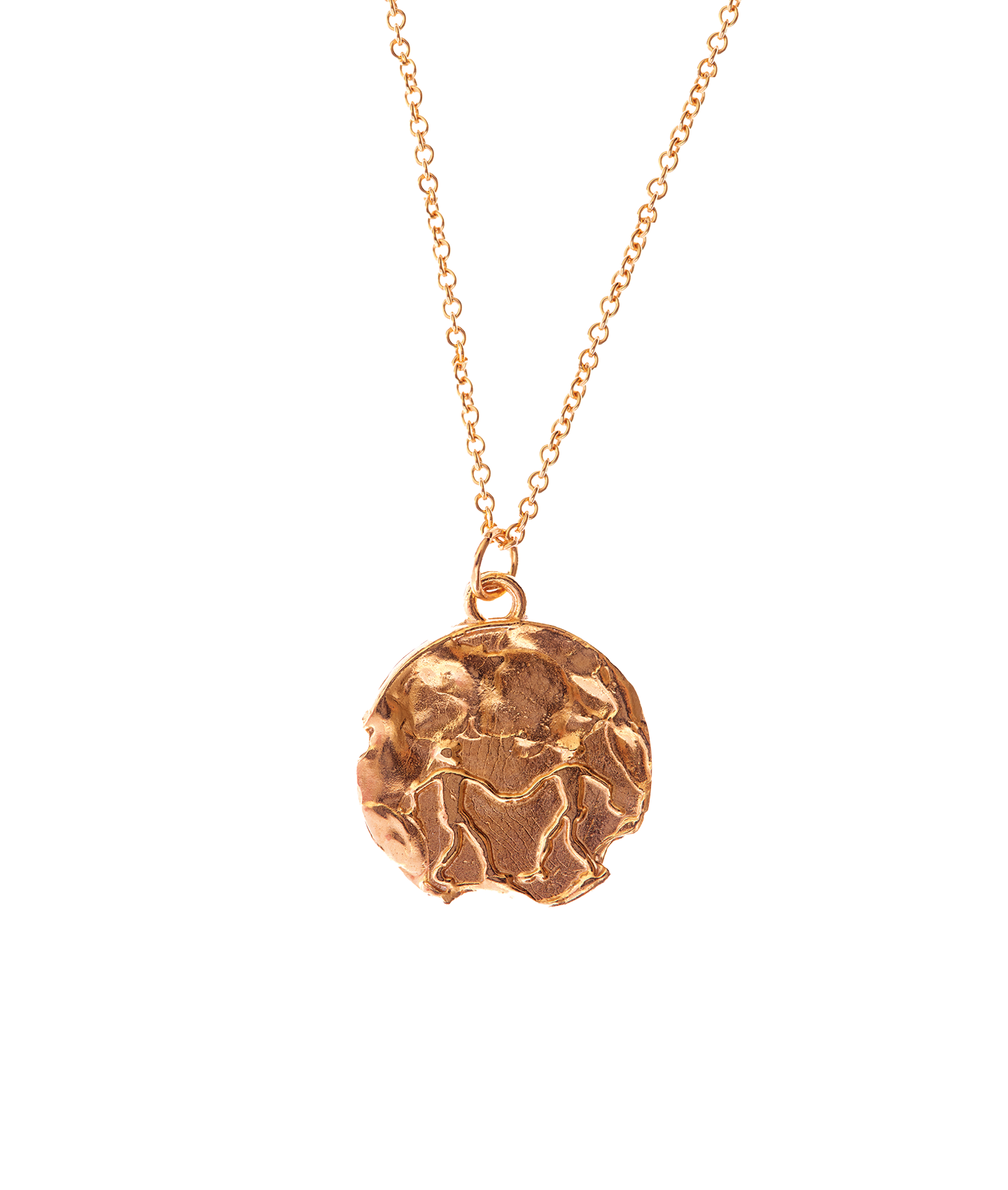 Alighieri Gold Gemini Zodiac Necklace Medallion