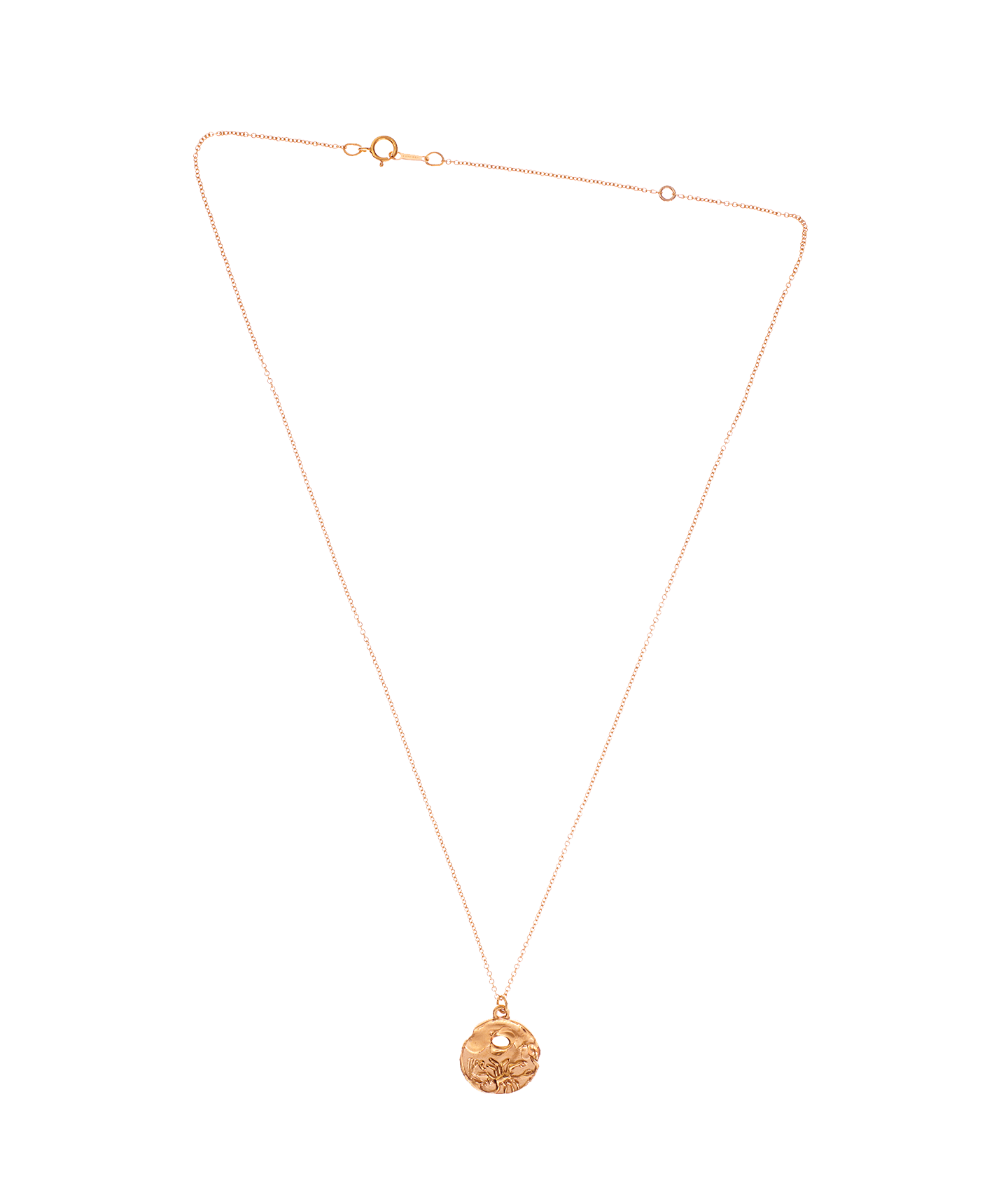 Alighieri Gold Plated Scorpio Zodiac Necklace Medallion