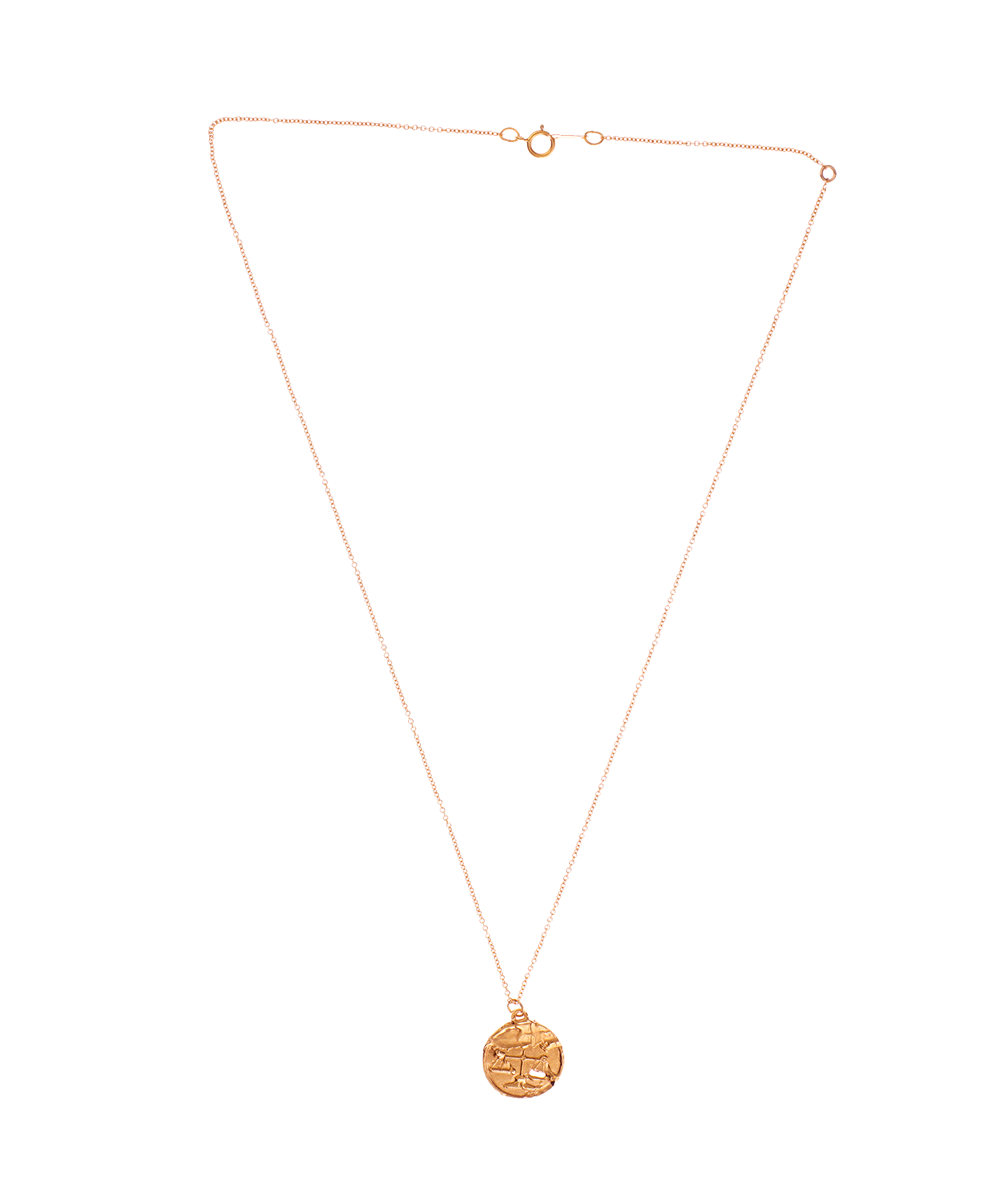 Alighieri Leo zodiac Medallion necklace
