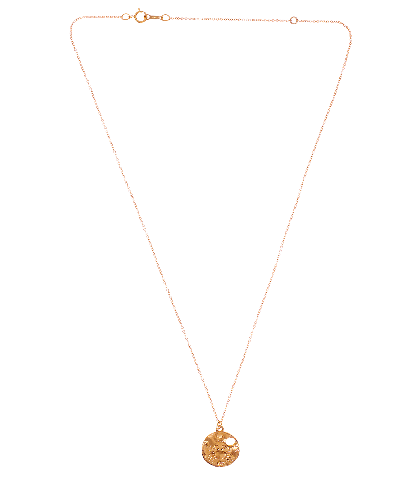 Alighieri Cancer Zodiac Necklace Medallion