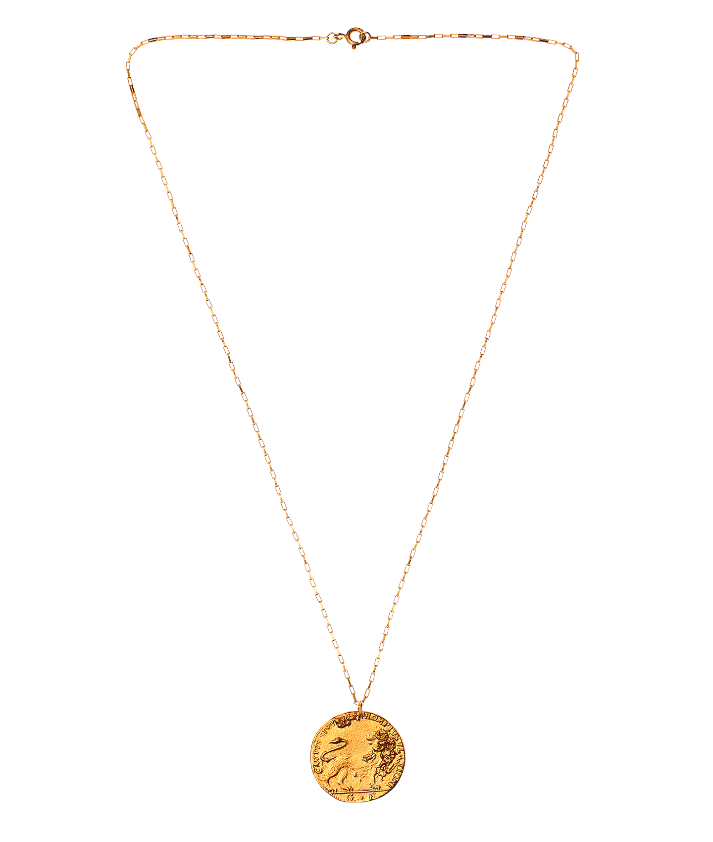 Il Leone Medallion // Box Chain