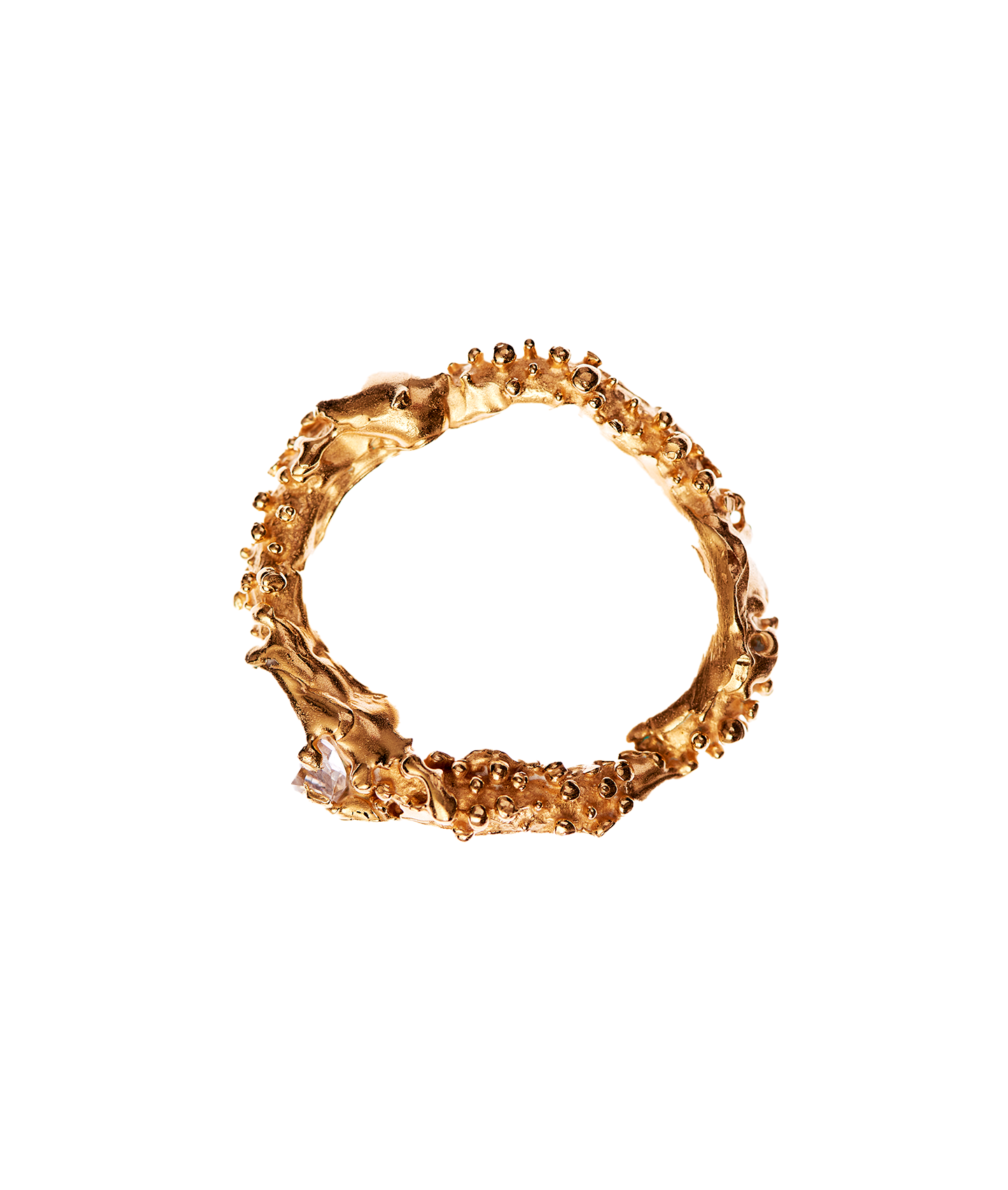 The Captured Magic Ring