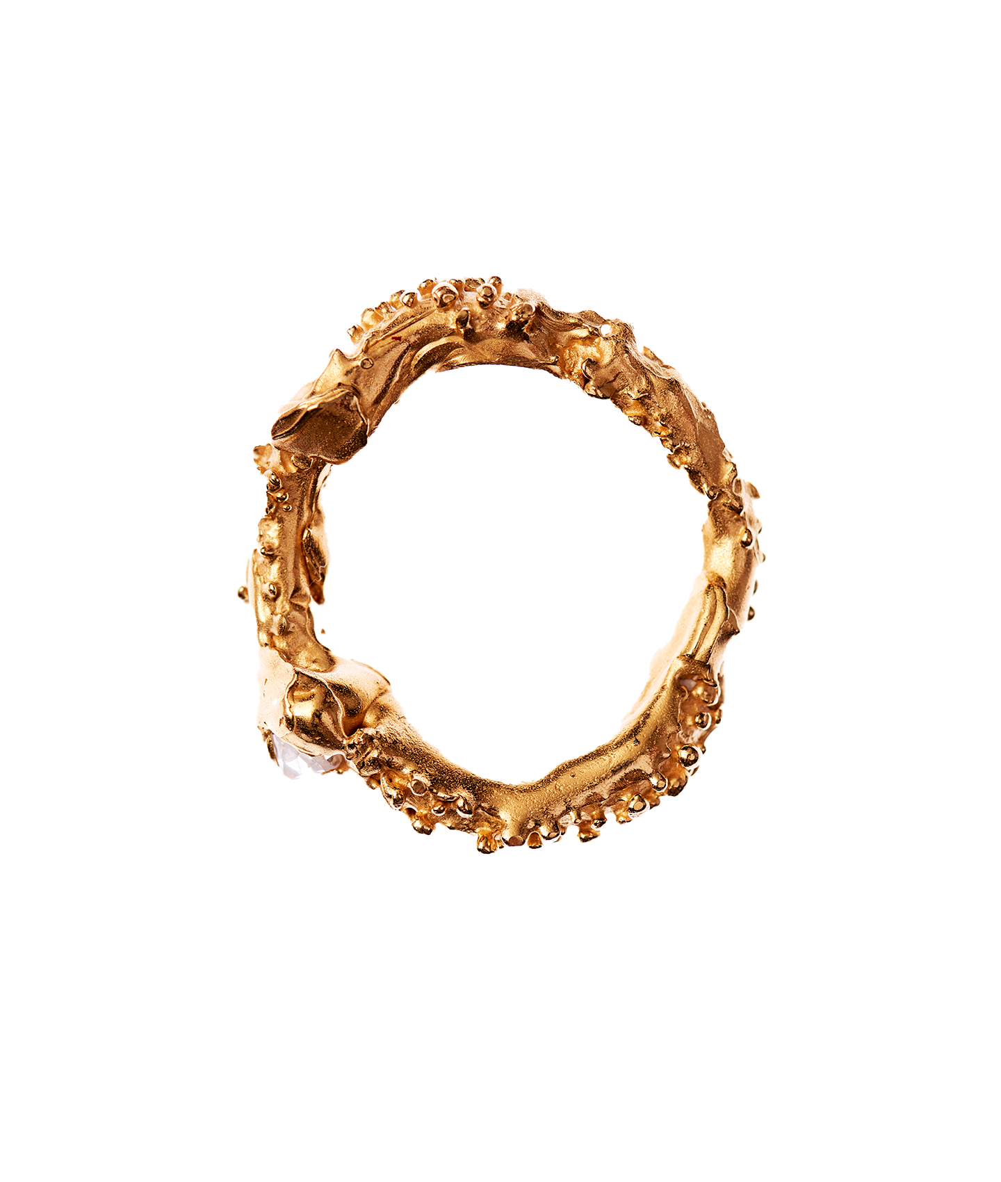 The Captured Magic Ring