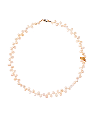 Alighieri Freshwater Pearl Calliope Choker