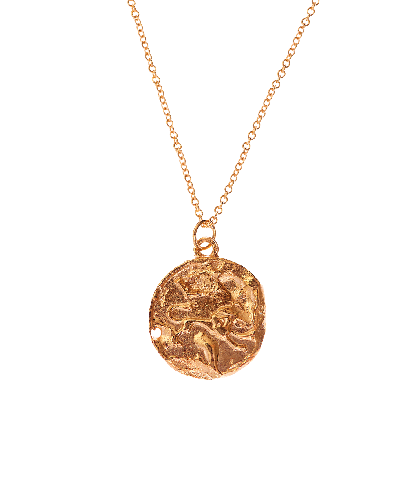 Alighieri Leo zodiac Medallion necklace