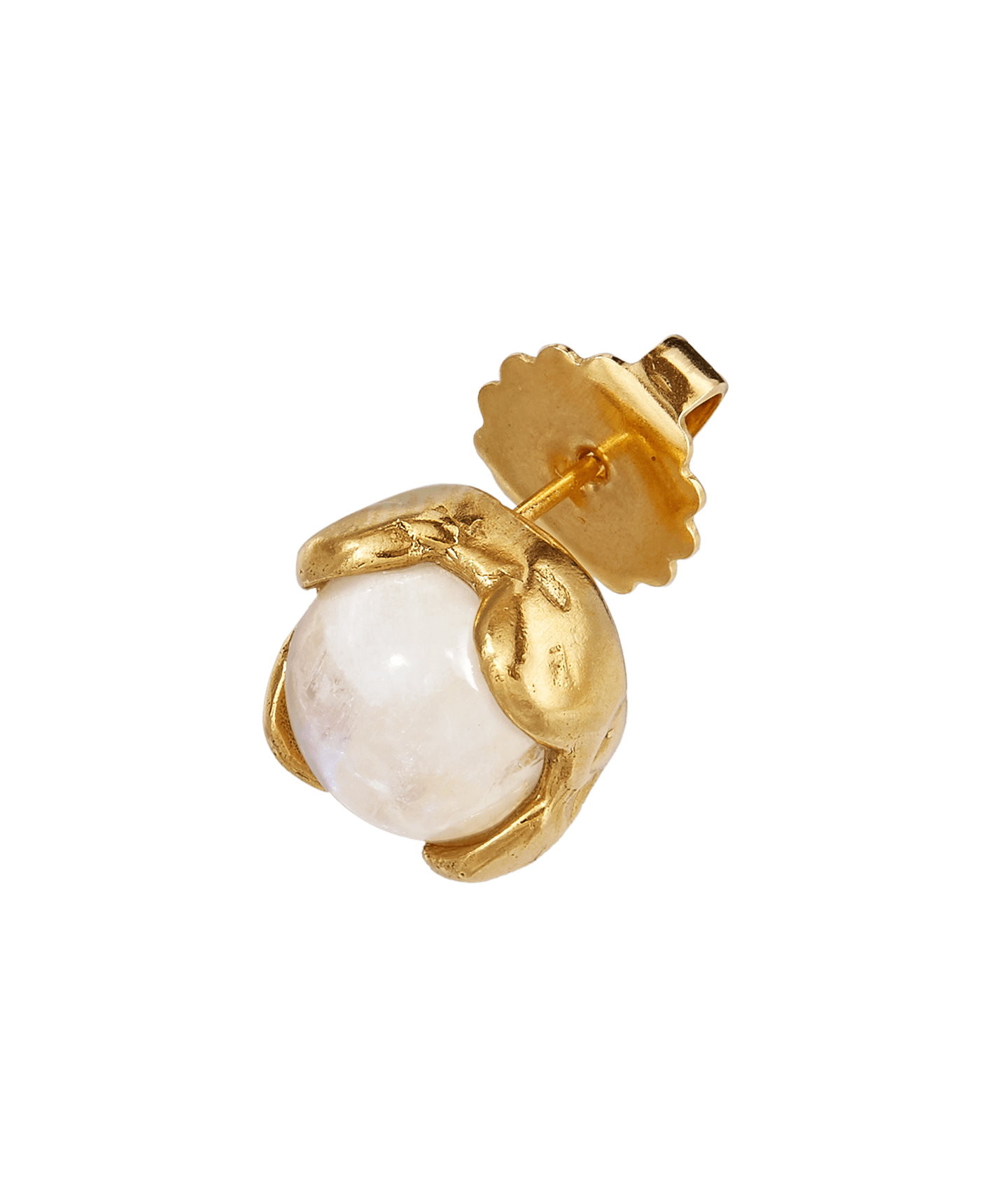 The Eye of the Lens Stud Earrings