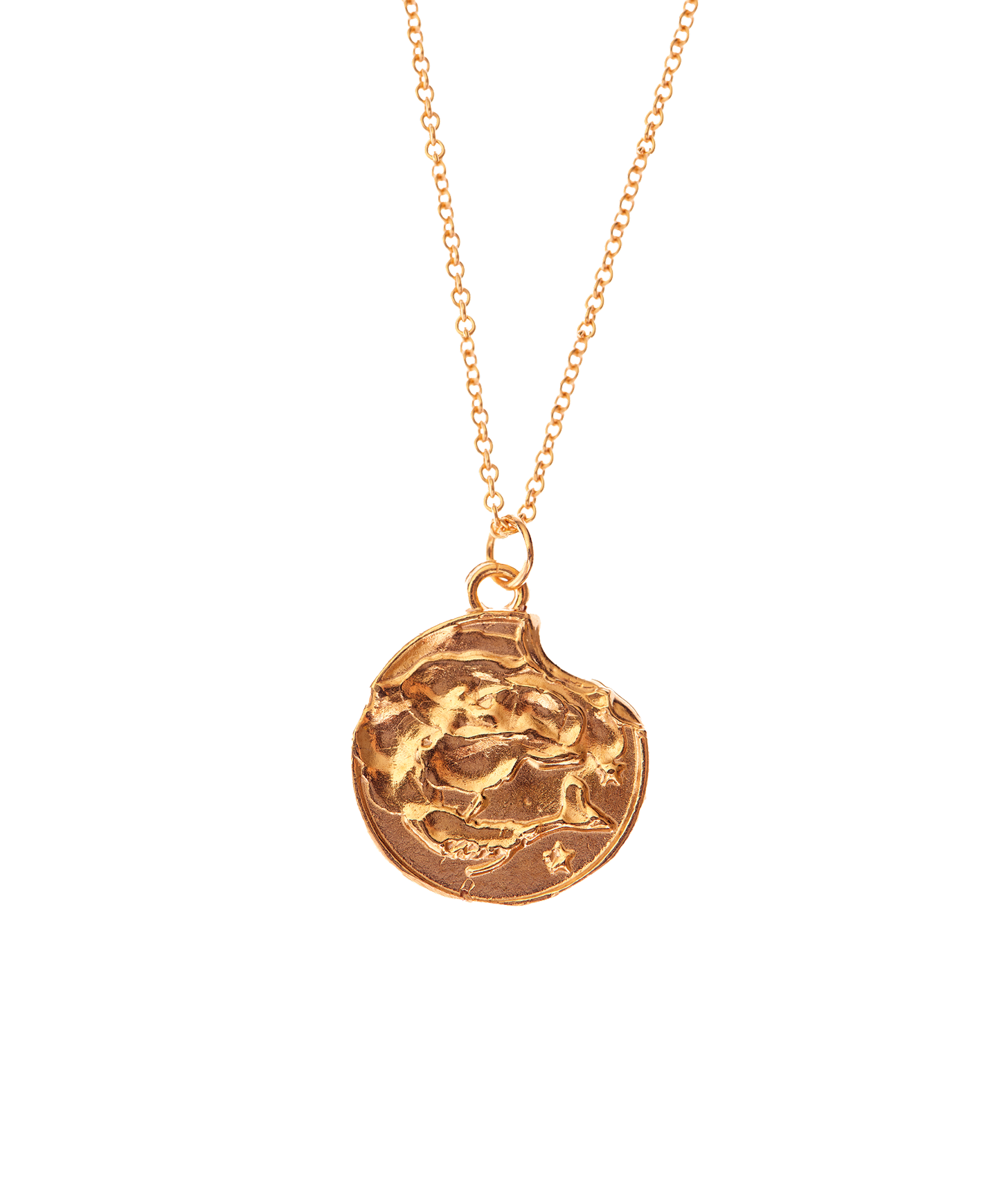 Alighieri Gold Plated Pisces Zodiac Necklace Medallion