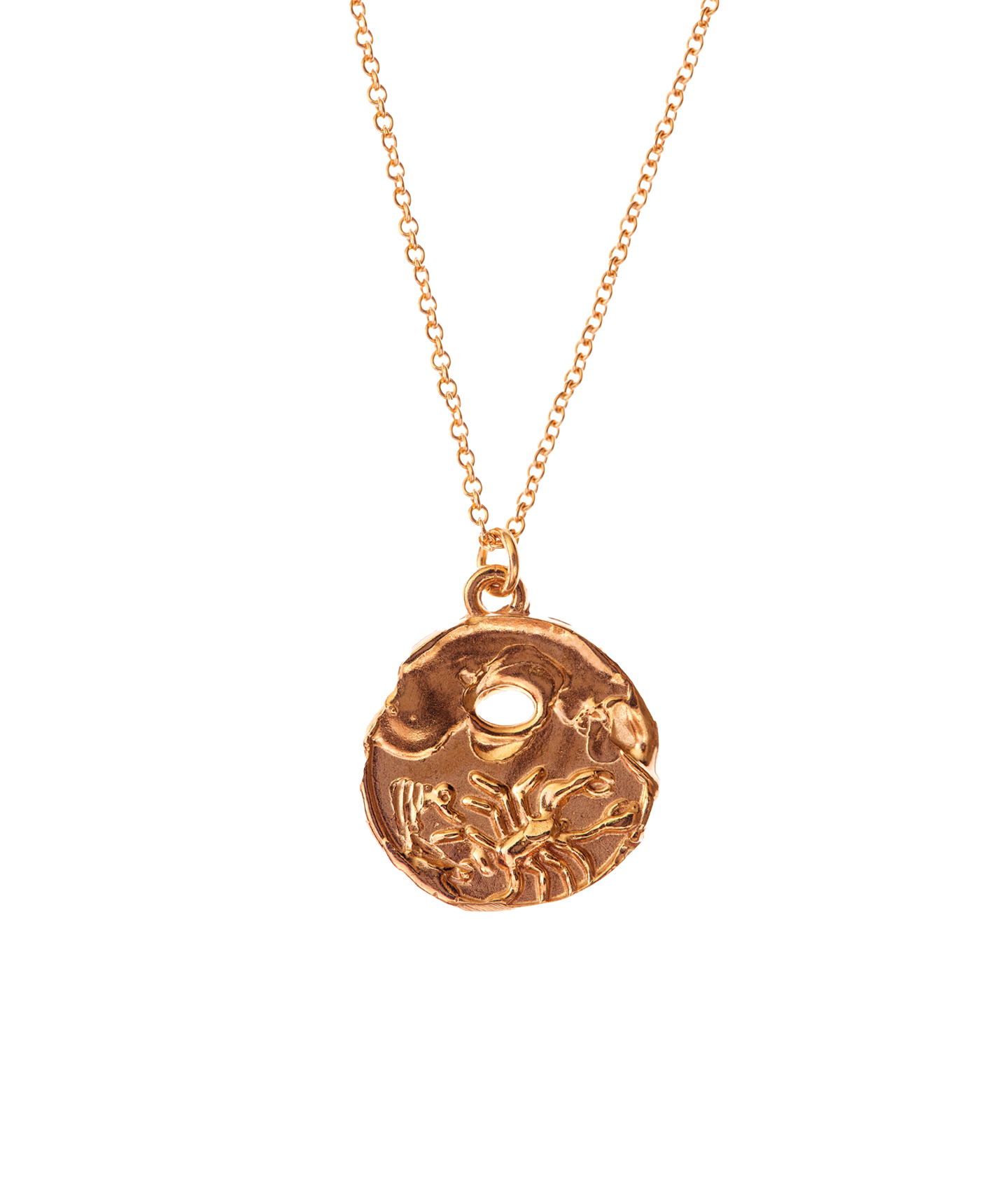 Scorpion medallion hot sale