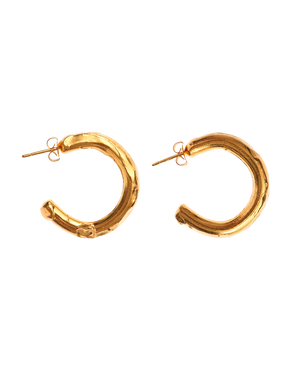 The Etruscan Reminder Hoops