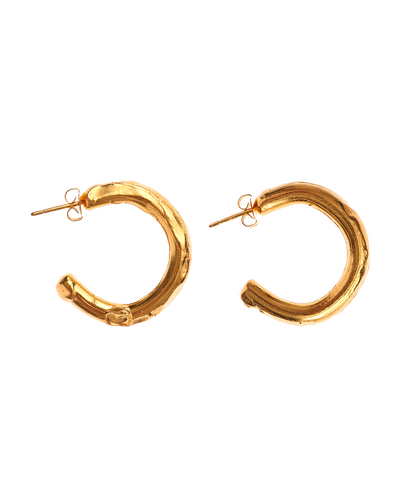 The Etruscan Reminder Hoops