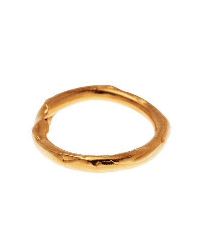 Gaze of the Satellite Ring // Solid Gold