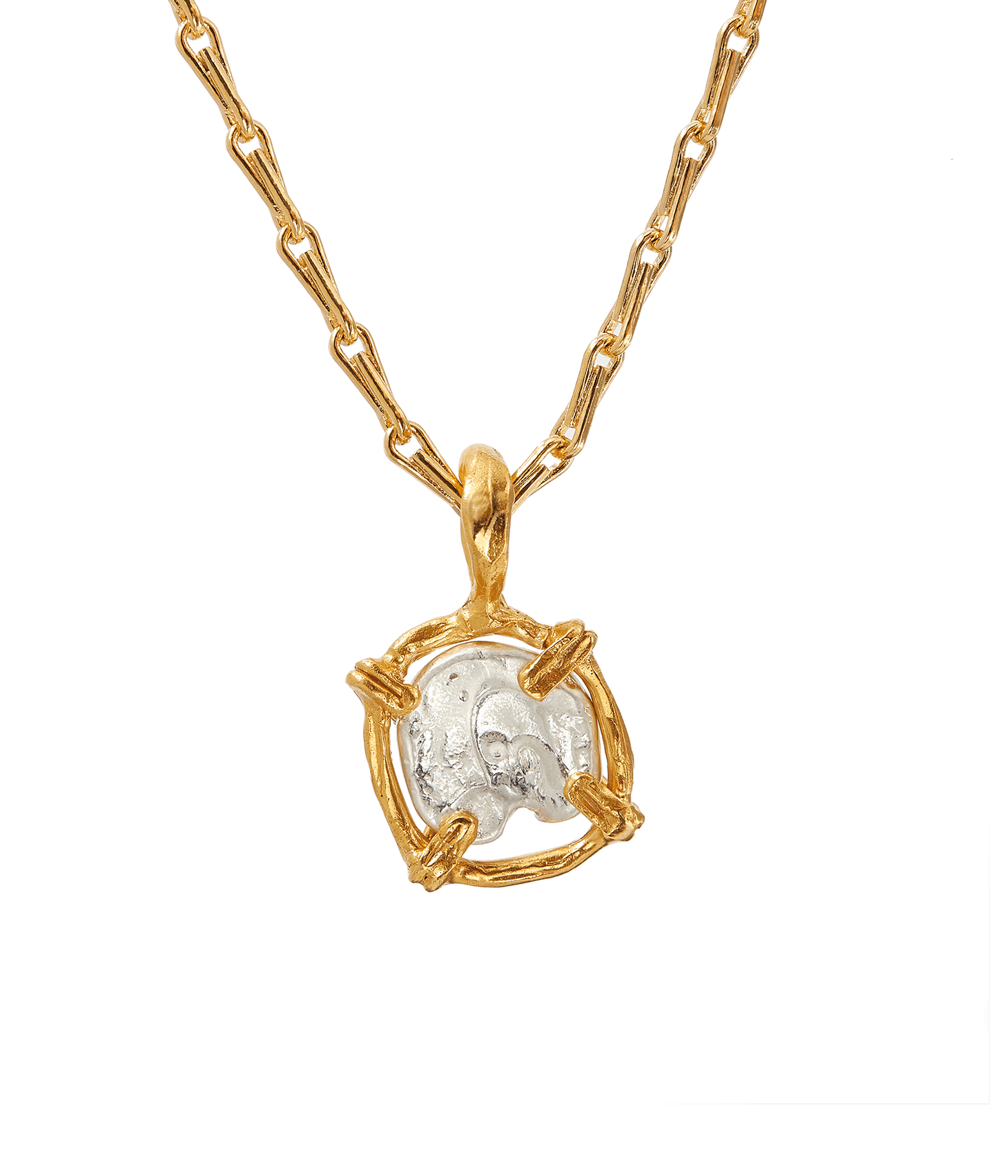 The Gilded Frame Medallion