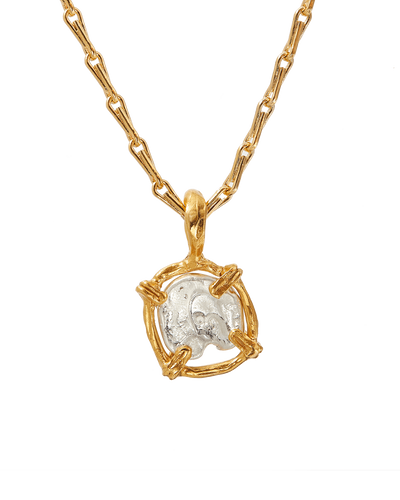 The Gilded Frame Medallion