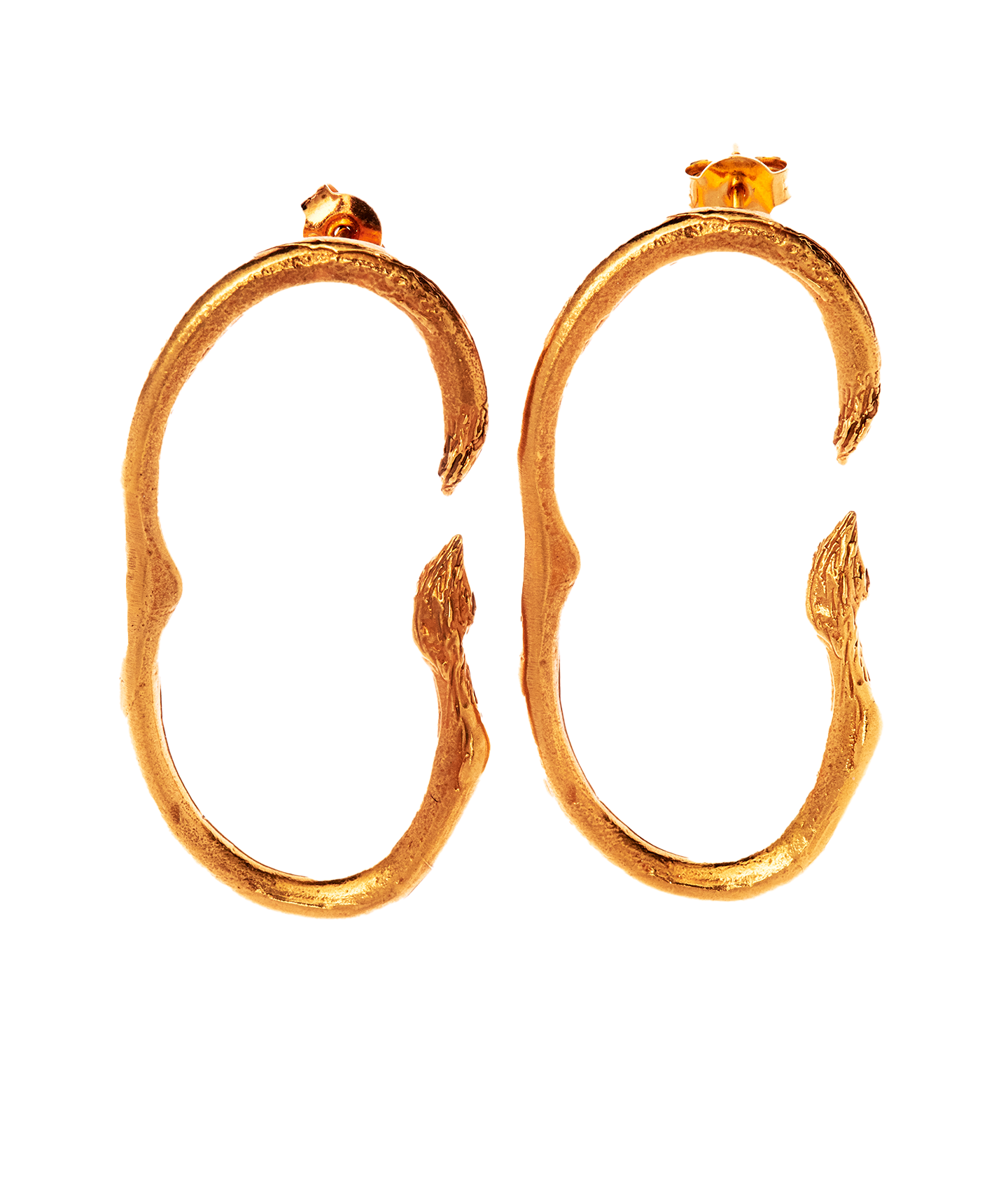 The Surreal Lion Earrings