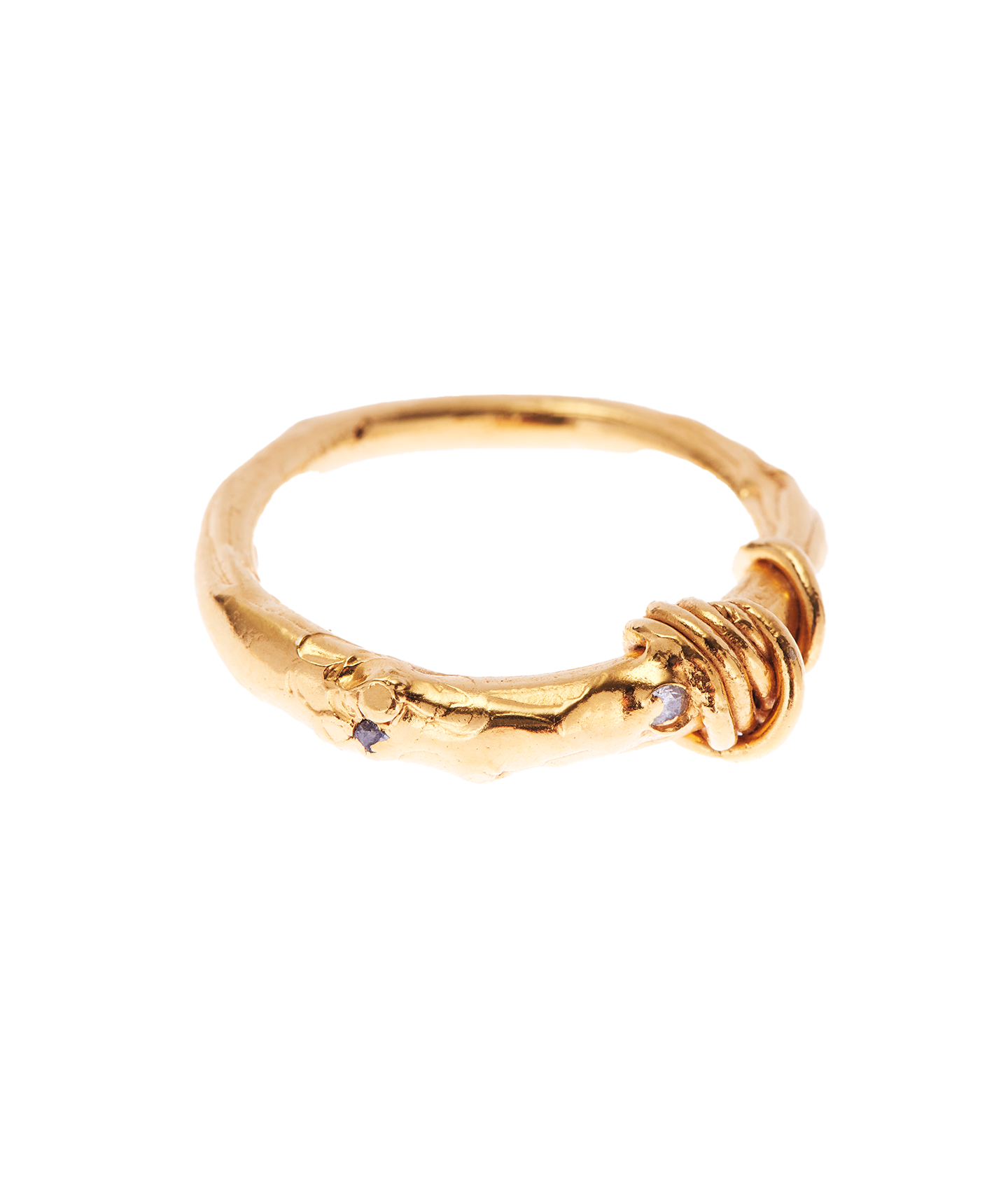 The Hiding Milky Way Ring