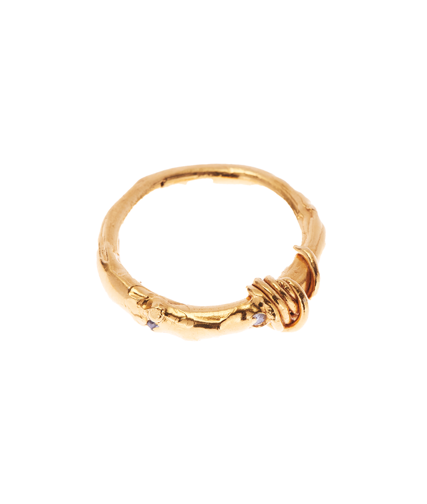 The Hiding Milky Way Ring