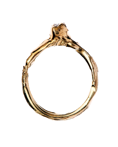The Initial Spark Ring