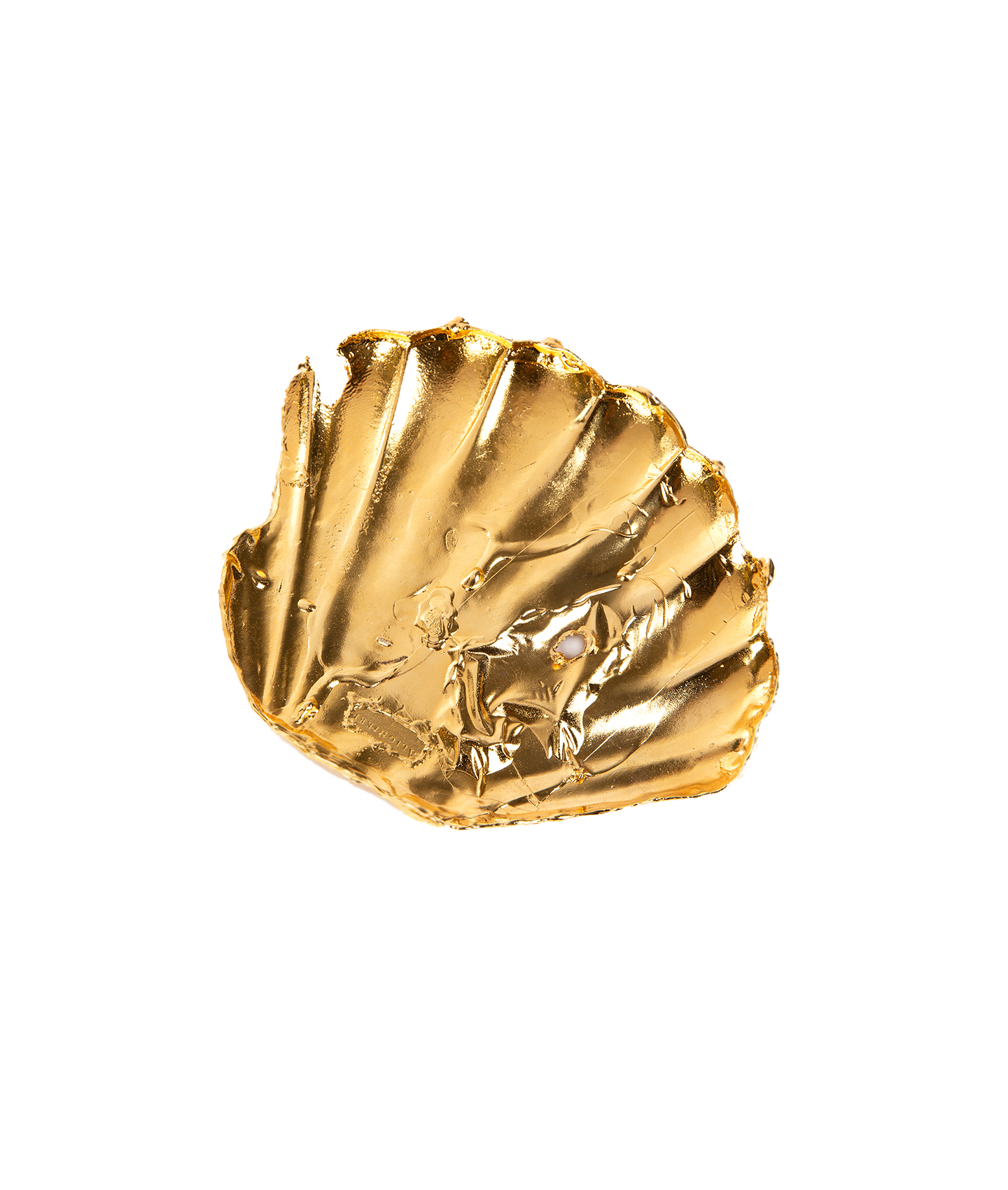 The Tale of the Sea Dish