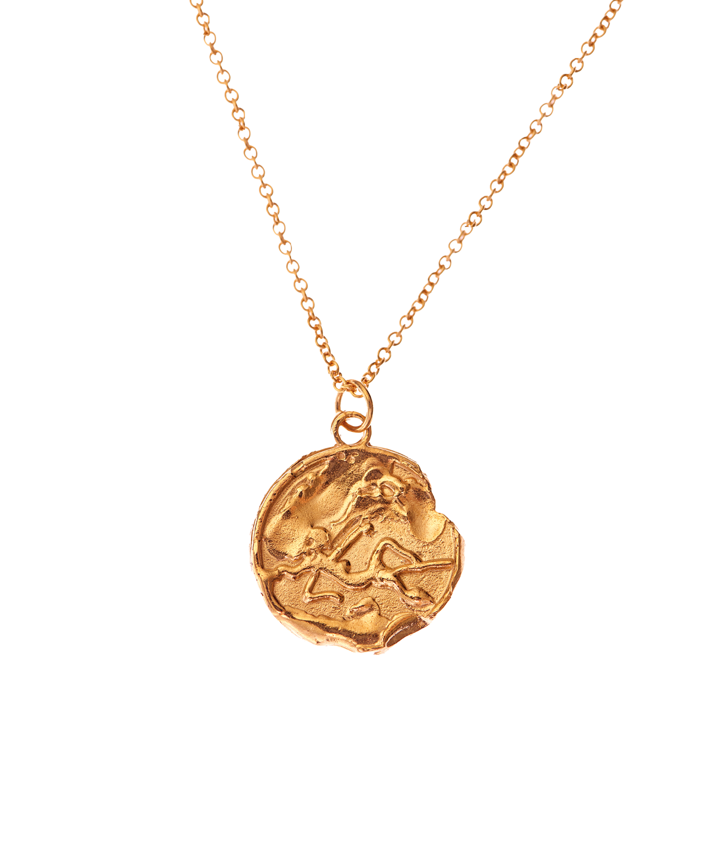 The Virgo Medallion
